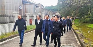 四川酒业茶业投资集团董事长刘松柏调研金喜来酒业