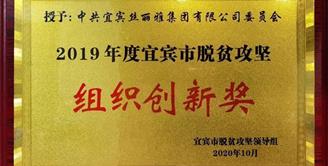 丝丽雅集团公司党委荣获2019年度宜宾市脱贫攻坚组织创新奖