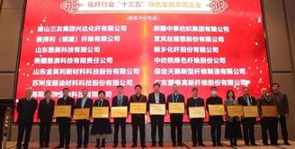 丝丽雅集团旗下两家公司荣获 “化纤行业‘十三五’绿色发展示范企业”荣誉称号
