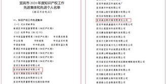 丝丽雅集团体系多家公司荣获“2020年度宜宾市知识产权工作先进集体”称号