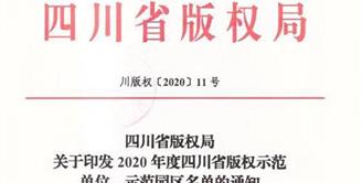宜宾唯一！丝丽雅集团荣获“四川省版权示范单位”称号