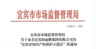 丝丽雅集团被命名为“宜宾市知识产权保护示范区”