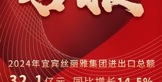 喜讯 | 丝丽雅集团2024年度进出口总额位居全市第一